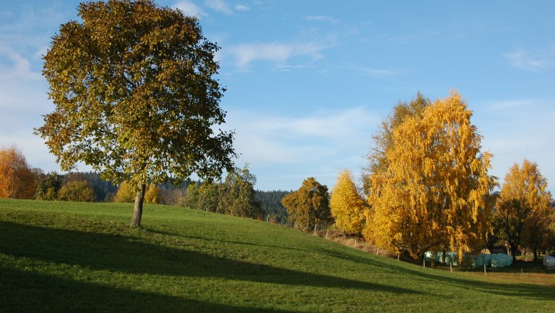 Herbst in Moorbad Harbach, © Karl Haumer